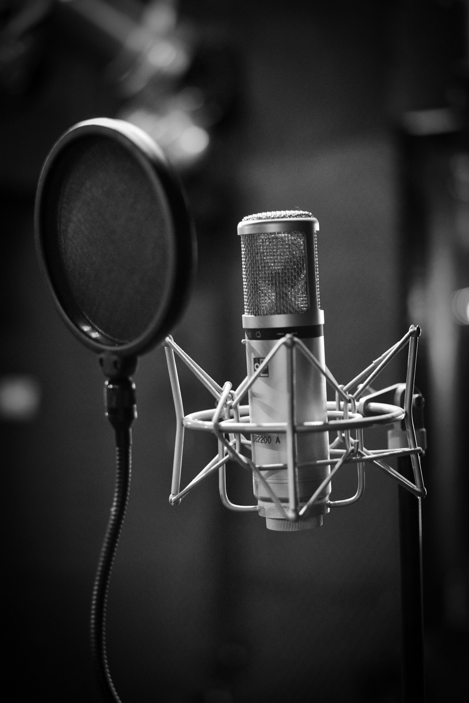 A studio condenser microphone with a pop filter in black and white